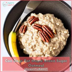 can dogs eat maple brown sugar oatmeal