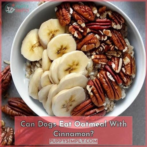 Can Dogs Eat Oatmeal With Cinnamon? Can Dogs Eat Oatmeal With Cinnamon?