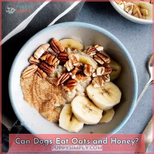 Can Dogs Eat Oats and Honey? Can Dogs Eat Oats and Honey?