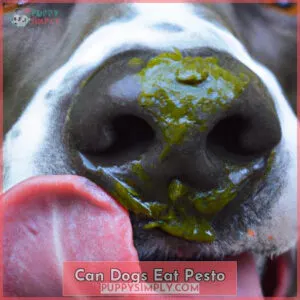 can dogs eat pesto