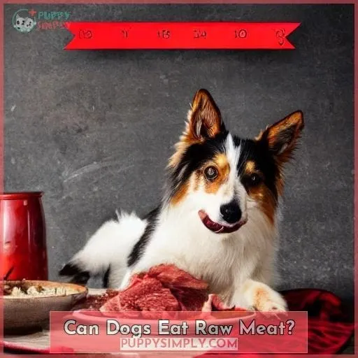 Can Dogs Eat Raw Meat?