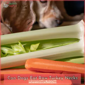 can dogs eat raw turkey necks