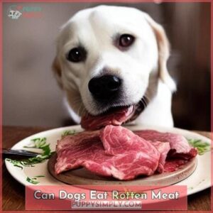 can dogs eat rotten meat