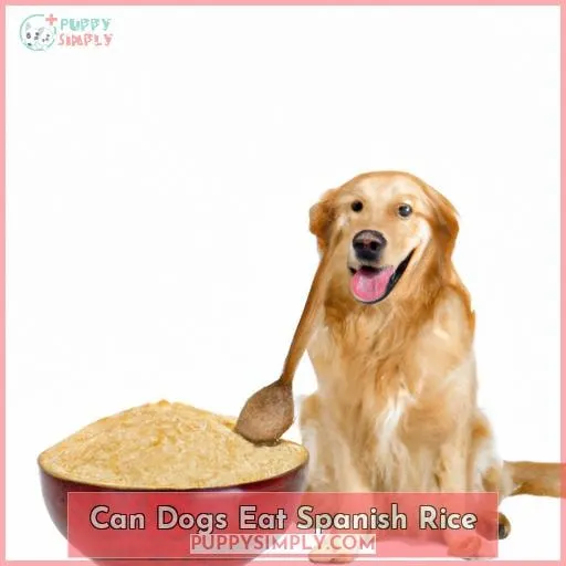 can dogs eat spanish rice