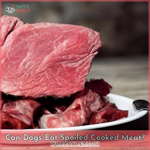 Can Dogs Eat Spoiled Cooked Meat?
