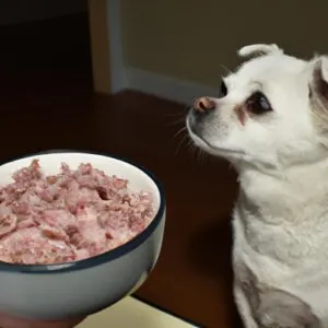 can dogs eat tuna and rice