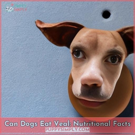 Can Dogs Eat Veal: Nutritional Facts
