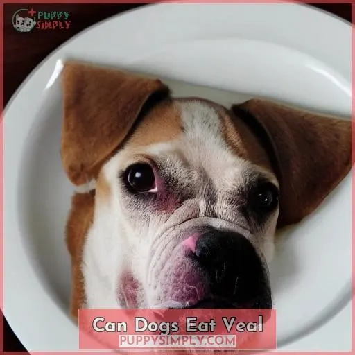 can dogs eat veal