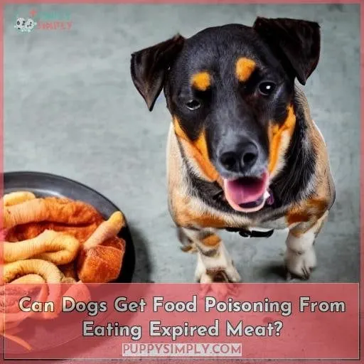 Can Dogs Get Food Poisoning From Eating Expired Meat?