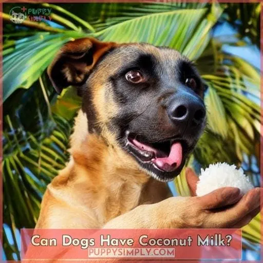 Can Dogs Have Coconut Milk?
