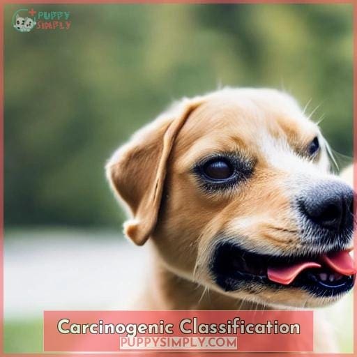Carcinogenic Classification