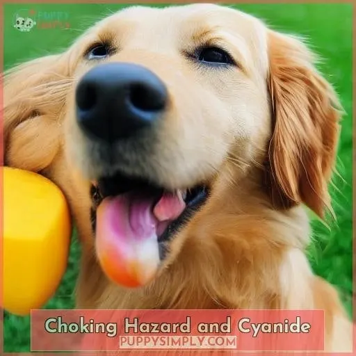 Choking Hazard and Cyanide