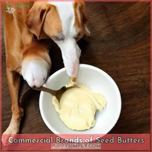 Commercial Brands of Seed Butters