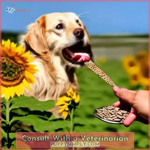 Consult With a Veterinarian