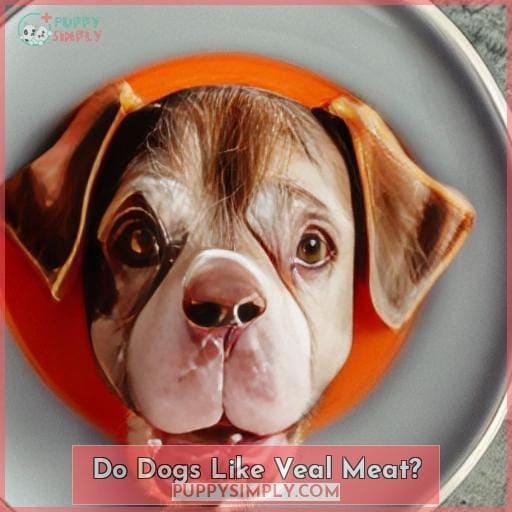 Do Dogs Like Veal Meat?