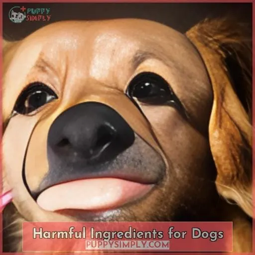 Harmful Ingredients for Dogs