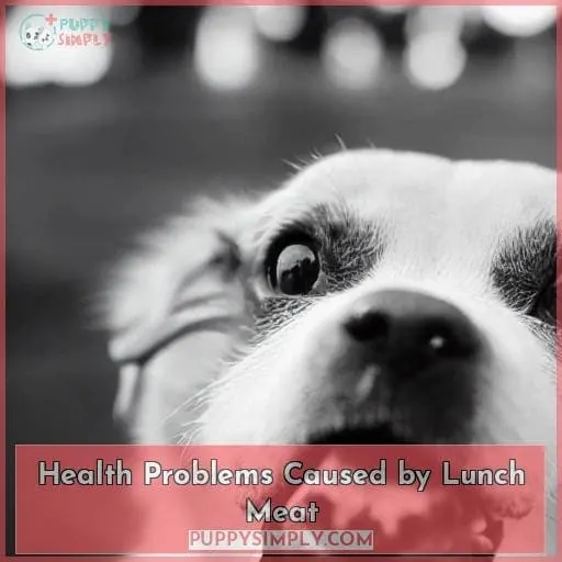 Health Problems Caused by Lunch Meat