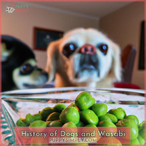 Can Dogs Eat Wasabi Peas? Know the Risks Before Letting Fido Try This