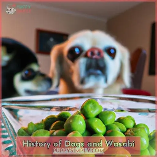 History of Dogs and Wasabi