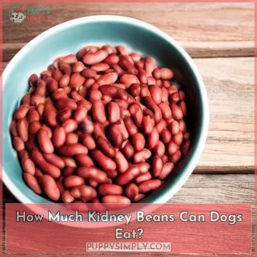 How Much Kidney Beans Can Dogs Eat?