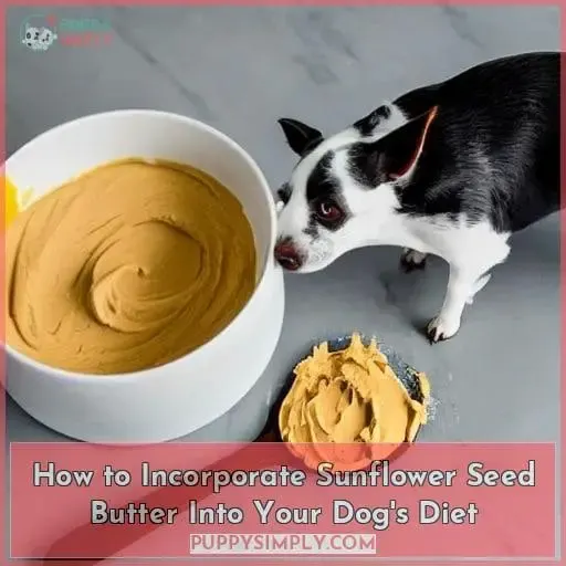 How to Incorporate Sunflower Seed Butter Into Your Dog