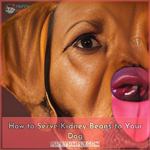 How to Serve Kidney Beans to Your Dog