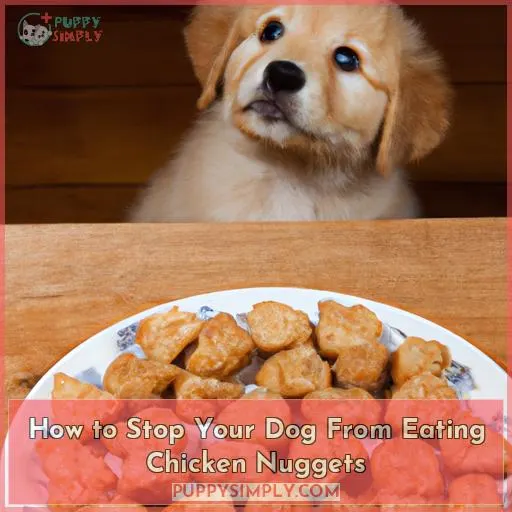 How to Stop Your Dog From Eating Chicken Nuggets