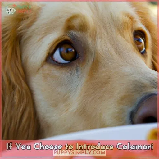 If You Choose to Introduce Calamari