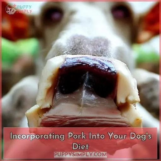 Incorporating Pork Into Your Dog