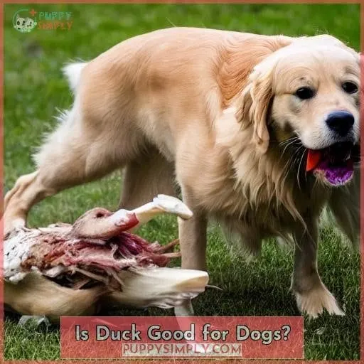 Is Duck Good for Dogs?