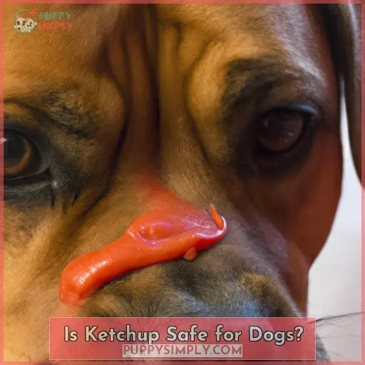 Is Ketchup Safe for Dogs?