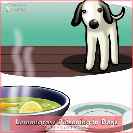 Lemongrass Poisoning in Dogs