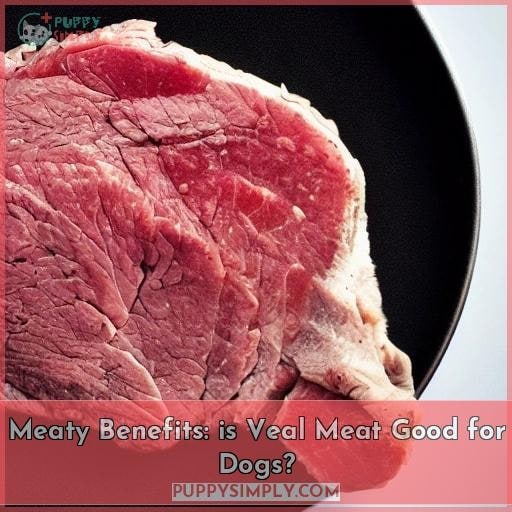 Meaty Benefits: is Veal Meat Good for Dogs?