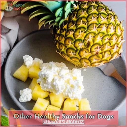 Other Healthy Snacks for Dogs