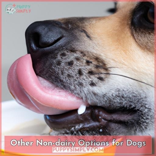 Other Non-dairy Options for Dogs Other Non-dairy Options for Dogs