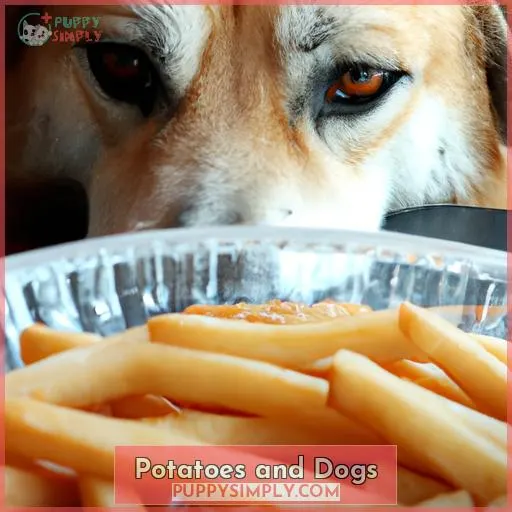 Potatoes and Dogs