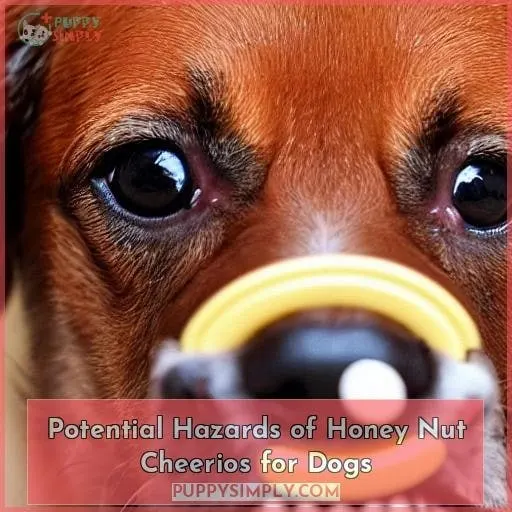 Potential Hazards of Honey Nut Cheerios for Dogs