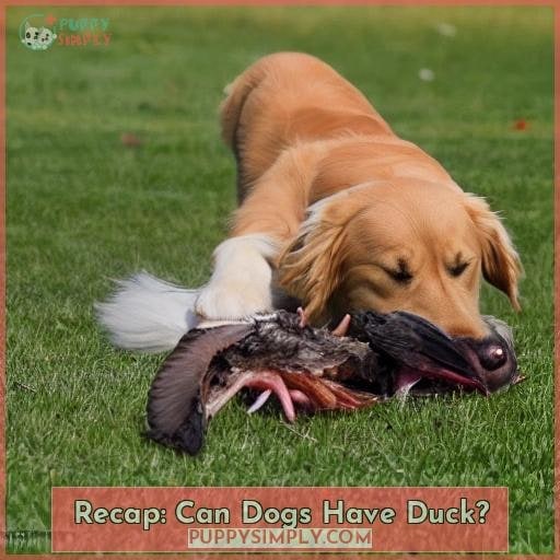 Recap: Can Dogs Have Duck?