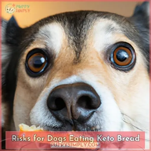 Risks for Dogs Eating Keto Bread