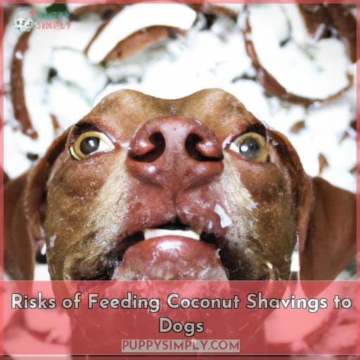 Risks of Feeding Coconut Shavings to Dogs Risks of Feeding Coconut Shavings to Dogs