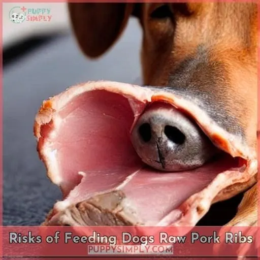 Risks of Feeding Dogs Raw Pork Ribs