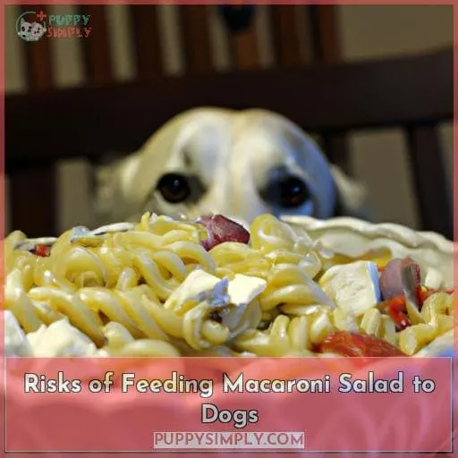 Risks of Feeding Macaroni Salad to Dogs