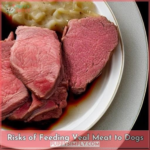 Risks of Feeding Veal Meat to Dogs