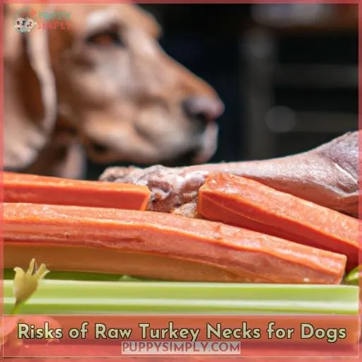 Risks of Raw Turkey Necks for Dogs