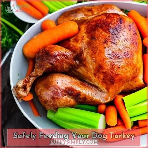 Safely Feeding Your Dog Turkey