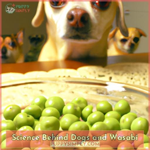 Science Behind Dogs and Wasabi Science Behind Dogs and Wasabi