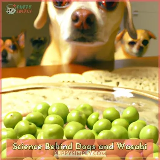 Science Behind Dogs and Wasabi