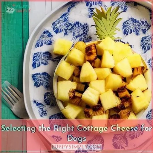 Selecting the Right Cottage Cheese for Dogs