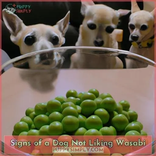 Signs of a Dog Not Liking Wasabi