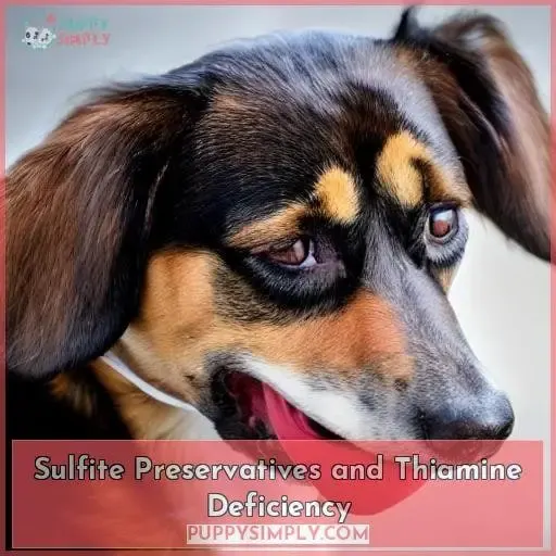 Sulfite Preservatives and Thiamine Deficiency
